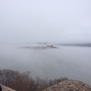 Meet your Posher, Terry